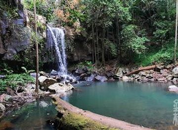 australia/gold-coast/attraction/curtis-falls-viewing-platform
