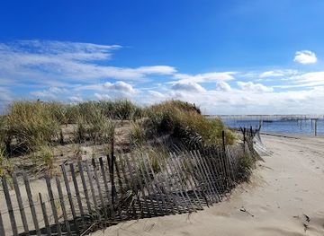 new-york/fire-island/attraction/cedar-beach