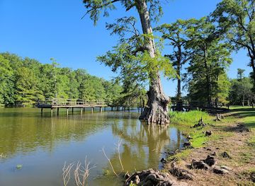 mississippi/the-yazoo-basin/attraction/leroy-percy-state-park