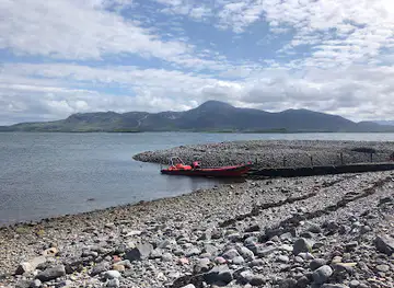 Westport Sea Safari