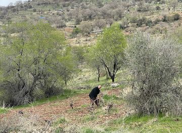 iraq/dohuk-governorate/attraction/merga-dargely