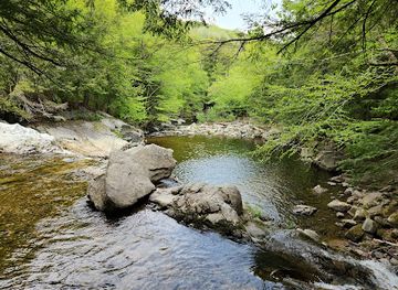 vermont/emerald-lake-state-park/attraction/okemo-state-forest