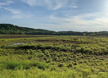 indiana/yellowwood-state-forest/attraction/stillwater-marsh-water-fowl-resting-area