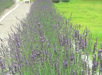 connecticut/the-quiet-corner/attraction/quiet-corner-spa-and-farm-llc