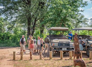 zambia/eastern-province/attraction/mulberry-mongoose