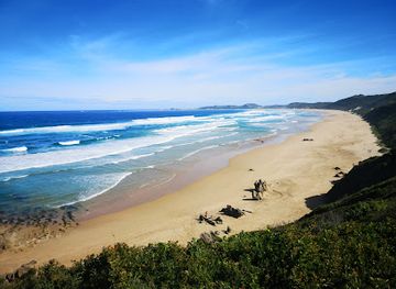 south-africa/sunshine-coast/attraction/brenton-beach