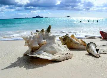 Rendezvous Bay