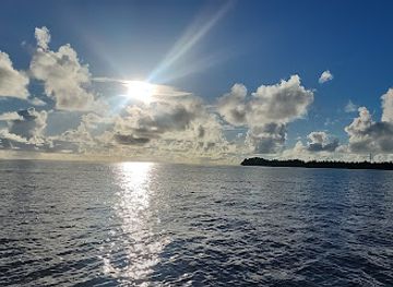 maldives/gaafu-dhaalu-atoll/attraction/eagle-rays-by-maareha