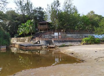 brunei/pulau-selirong-forest-reserve/attraction/biodiversity-park