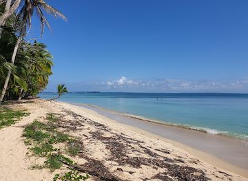 panama/pearl-islands/attraction/parque-nacional-isla-bastimentos