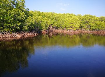 maldives/shaviyani-atoll/attraction/gaakolhu-fen-gan-du