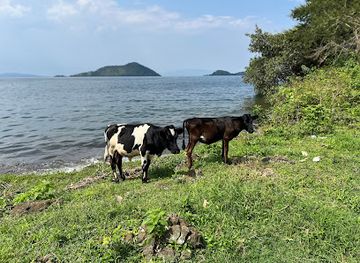 rwanda/gishwati-mukura-national-park/attraction/icyi