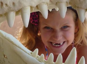 new-mexico/bernalillo/attraction/rattlesnake-museum-gift-shop