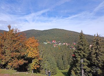 romania/bihor-mountains/attraction/partia-piatra-graitoare-vartop-bihor