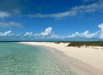 turks-and-caicos-islands/malcolm-s-road-beach/attraction/big-blue-collective