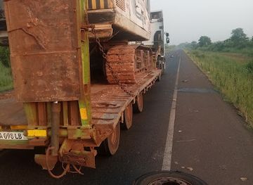 the-gambia/bijilo-forest-park/attraction/gambie