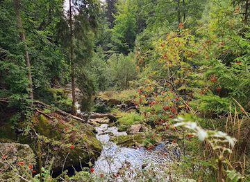 germany/bavarian-forest-national-park/attraction/naturjuwel-steinklamm