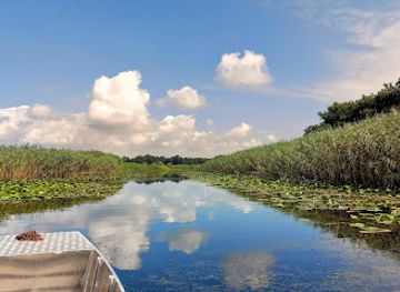 serbia/kolubara/attraction/obedska-bara-nature-preserve