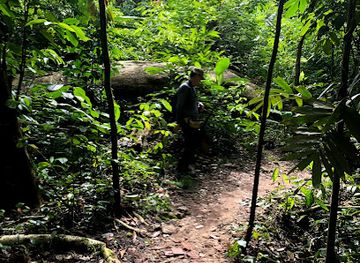 singapore/bukit-timah-nature-reserve/attraction/bukit-timah-mountain-bike-trail