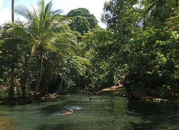 philippines/camiguin/attraction/bangbanganon-cold-spring