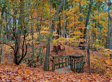 west-virginia/morgantown/attraction/wvu-core-arboretum-amphitheater