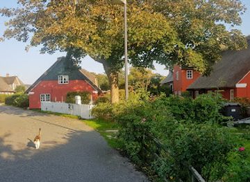 denmark/romo/attraction/albue-fuglekoje