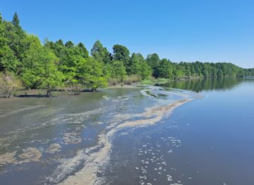 north-carolina/coastal-plain/attraction/somerset-place-state-historic-site