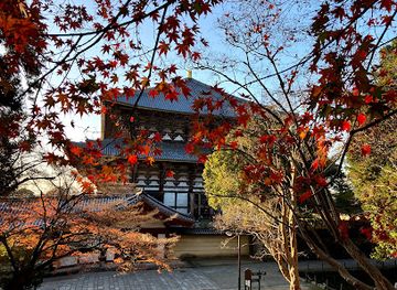 japan/nara/attraction/nekodan-cat-stairway