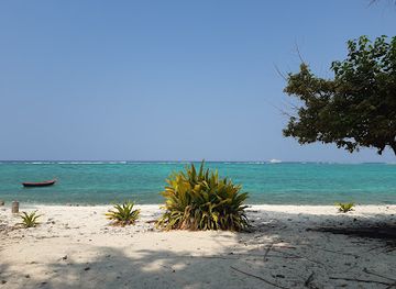 india/lakshadweep/attraction/surfing-spot