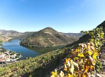 portugal/douro-valley/attraction/quinta-da-foz