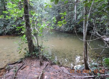 brazil/chapada-dos-guimaraes-national-park/attraction/poco-das-esmeraldas