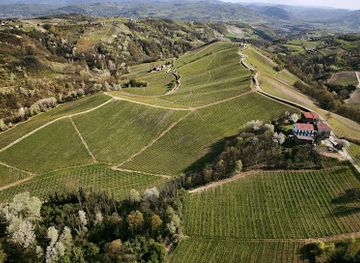 italy/langhe/attraction/cantine-bosca