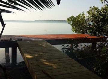 belize/glover-s-reef-atoll/attraction/thatch-caye-tropical-island-experience