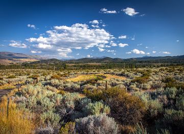 Humboldt-Toiyabe National Forest