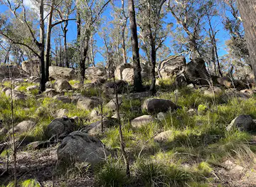 Cathedral Rock track