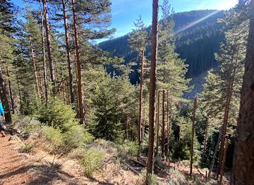 bulgaria/bansko/attraction/ski-road-1