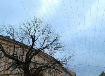 serbia/novi-sad/attraction/zmaj-jovina