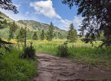Bridger-Teton National Forest