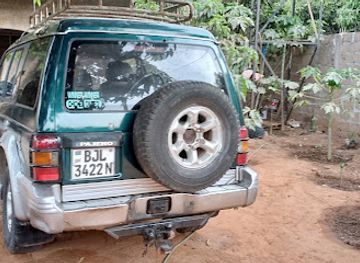 the-gambia/kanifing/attraction/bird-guide-gambia-abdoulie-ndure