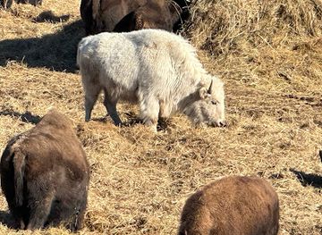 illinois/prairie-state/attraction/wildlife-prairie-park-visitors-center