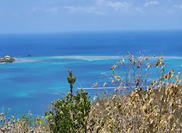 Moskito Island Viewpoint