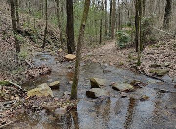 arkansas/pinnacle-mountain-state-park/attraction/river-mountain-park