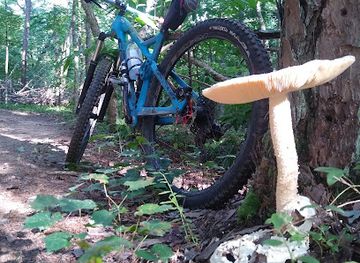 north-carolina/nantahala-national-forest/attraction/jackrabbit-mountain