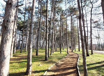 serbia/branicevo/attraction/russian-graveyard
