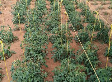 tanzania/singida/attraction/mariki-mbogamboga-point