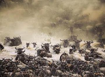 tanzania/arusha/attraction/alaitol-safaris