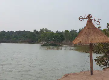Oasis