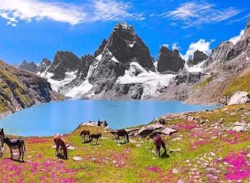 pakistan/ladakh/attraction/chitta-khatta-lake-view-tent-village