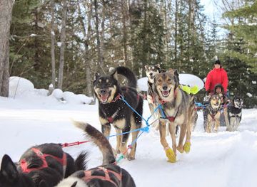 michigan/lower-peninsula/attraction/nature-s-kennel-sled-dog-racing-and-adventures