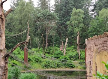 netherlands/amersfoort/attraction/expeditie-rivier